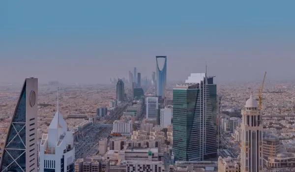 Saudi Arabia Task Force image