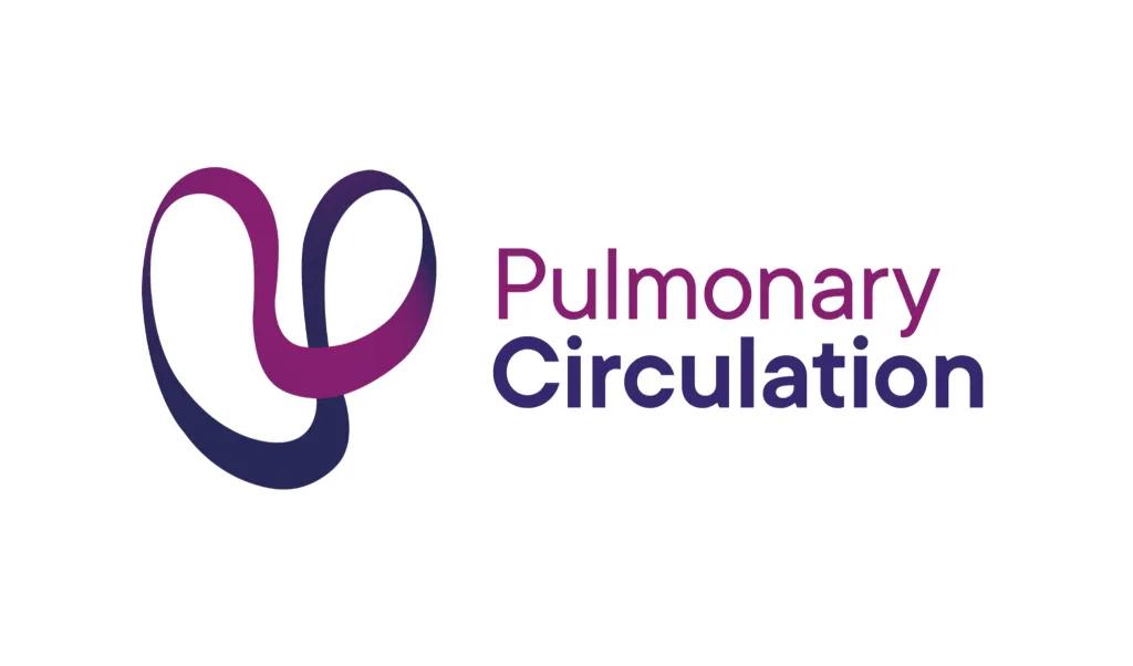 PC logo