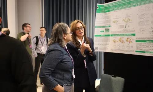 Poster presentation at PVRI 2026 Dublin