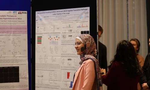 Poster presentation at PVRI 2026 Dublin