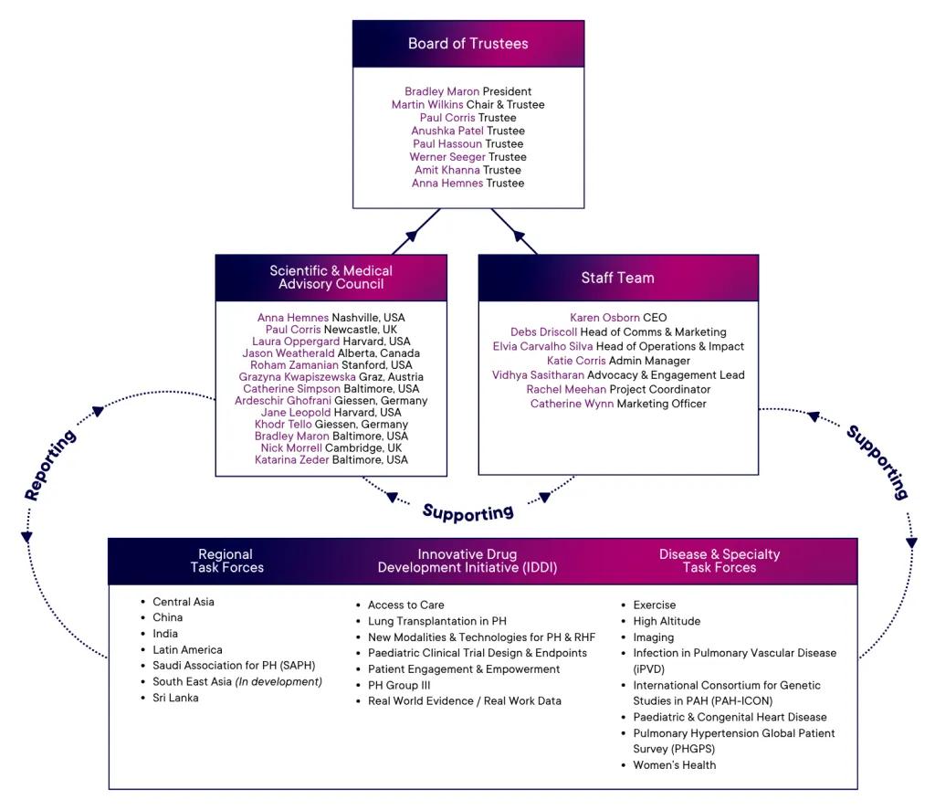 PVRI Structure July 2026